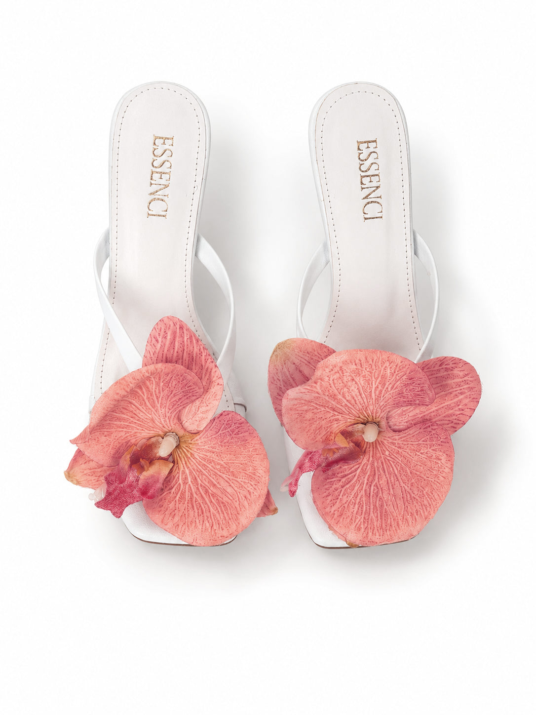 Zapatilla de orquidea rosa con blanco