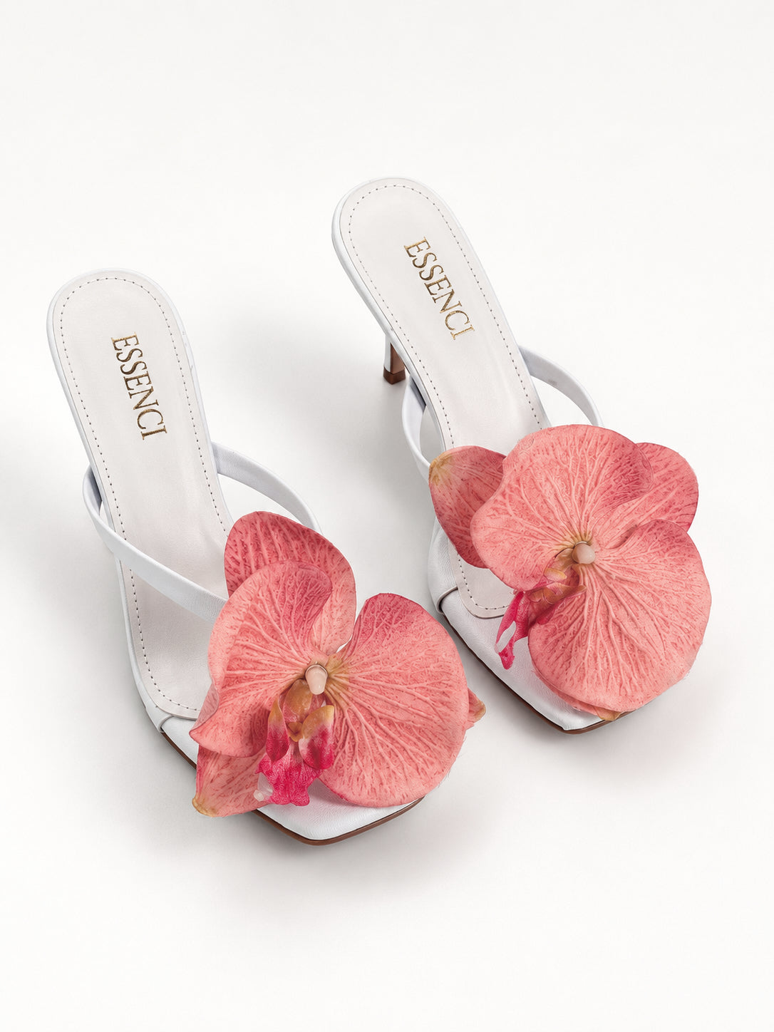 Zapatilla de orquidea rosa con blanco